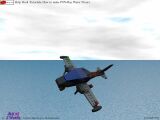 Costal flying image